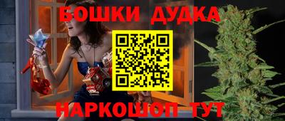 PSILOCYBIN Гудермес