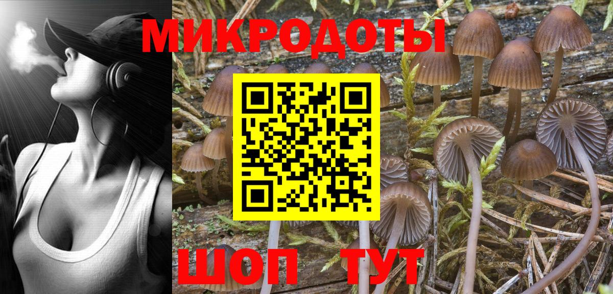 Псилоцибиновые грибы Psilocybe Волоколамск