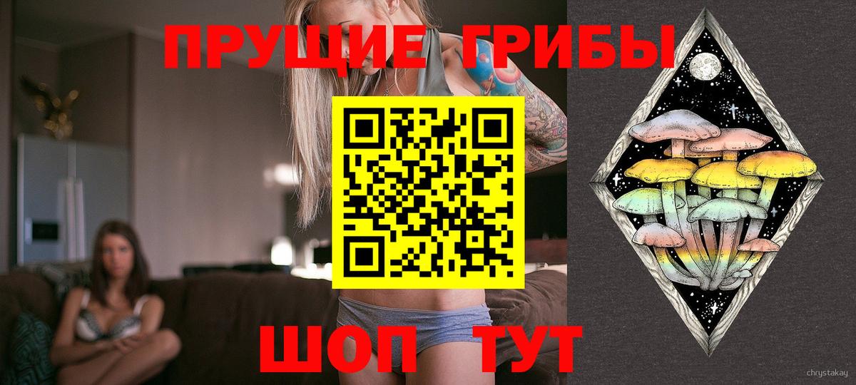 хочу наркоту  Вход с VPN  Волоколамск  Галлюциногенные грибы MAGIC MUSHROOMS 
